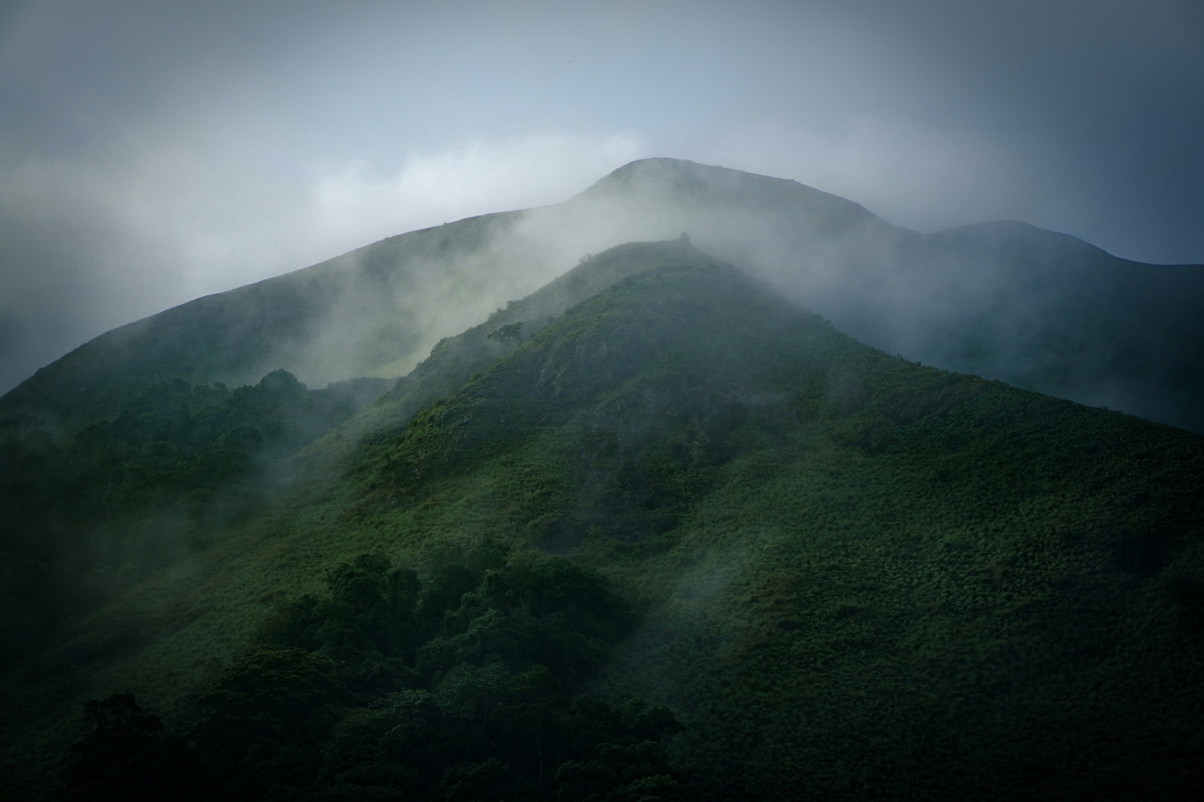 THEKKADY near Izzat Inn Villa, Idukki, Kerala